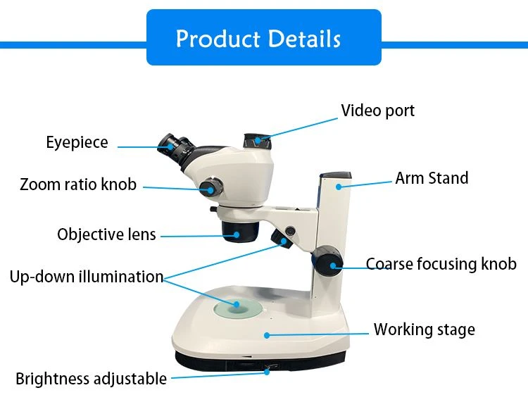 Trinocular StereoMicroscope Zoom factory