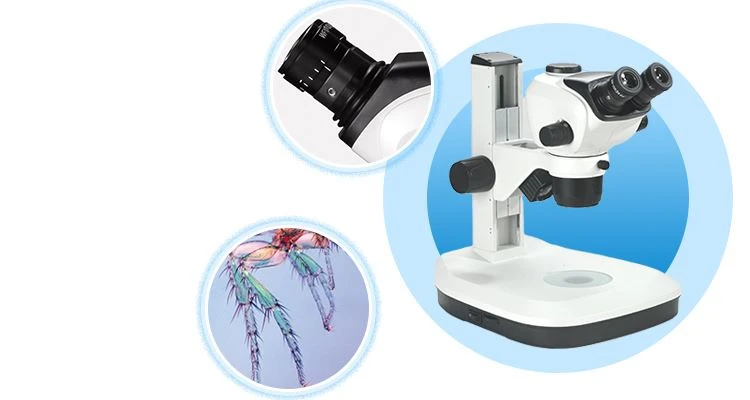 China Binocular LED Zoom Stereo Microscope